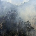 Akcija u Nikšiću: Počelo gašenje šumskog požara većih razmera u mestu Pištete