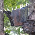 Šta smo sve bacili u reku – izložba u Svrljigu ukazala na zagađenje Timoka