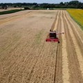 Kako su ratari zadovoljni prinosom pšenice u Mačvi