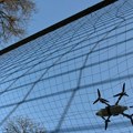 Nova drama blizu Srbije! Ruski dron ušao u vazdušni prostor dve članice NATO i EU i eksplodirao: Niko ga nije primetio