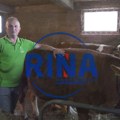 Neverovatno - ovo ima samo u Srbii: Goran kupio 16 krava i napravio veselje za 300 ljudi, pop došao i osveštao mu dupke punu…