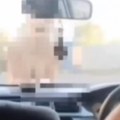 Haos na putu! Gola žena se baca na automobile, vozači u neverici!(video)