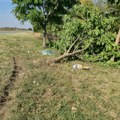 Ovo je mesto na kojem je poginula devojčica (3) iz Melenaca Od siline udarca srušeno drvo, komšije u šoku (foto + video)