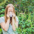 Пролећне алергије: Докторка открива како се заправо изборити с проблемом који мучи све више људи