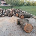 У Србији прошле године посечено 3,3 милиона кубика дрва, највише за грејање