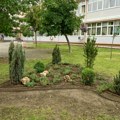 Beogradska škola sada ima zelenije školsko dvorište uz podršku kompanije P&G Beograd