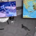 Prvi snimci snažnog zemljotresa koji je pogodio Tursku i Grčku Ljudi bežali, u panici skakali iz zgrada, ima mrtvih! Treslo…