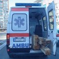 Sanitet sa niškim tablicama prevozi drvenu građu