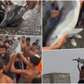 Uznemirujuće! Kakva jeziva surovost! Migranti izvukli mladunče delfina iz mora, nosili ga kao trofej, a onda ga štapom…