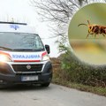 Zašto je ubod stršljena smrtonosan: Evo šta sadrži, a posebno je fatalan ujed na ova 2 mesta, što je ubilo i čoveka iz…