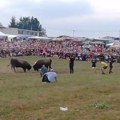 Bik usmrtio slučajnog prolaznika! Užas u BiH: Vlasnik životinju nakon koride vodio ka kamionu, tragedija se dogodila u sekundi…