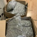 Još jedna velika zaplena droge u Beogradu: Pronađeno 60 kilograma marihuane, osumnjičeni odmah uhapšen!