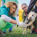 Veterinarsko savetovalište na Keju: Mlekarska škola u Pirotu obeležava 80 godina postojanja