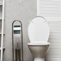 Neprijatan miris iz WC šolje: Najčešći uzroci i kako ih ukloniti