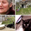 Baka iz Grocke spasila stotine životinja, a onda je izbio požar: Čula je vrisku, pa shvatila da gori sa njima