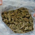 Uhapšene dve osobe u Novom Sadu: Policija zaplenila 4,8 kilograma marihuane