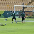 FIFA prodaje travu sa terena finala Mundijala za 450 dolara po komadu