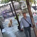 (Video) "Elegantni" provalnik pelješio redom kuće po Novom Sadu: Krao novac, ali i automobil, jedan slupao čim ga je odvezao