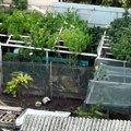 Novosadska policija zaplenila više od 60 kilograma droge, uhapšen muškarac