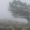 Najnovije upozorenje RHMZ: U Srbiji na snazi žuti meteoalarm zvog ove opasne pojave!