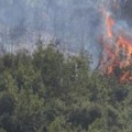 Bukte požari u Severnoj Makedoniji! U jednoj opštini traje danima