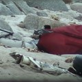 Pao avion u Tihi okean: Nesreća kod obale Kalifornije: Nađeno troje mrtvih (video)