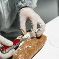 Kako je Irska postala utočište za Hezbollahov kokain