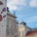 "U Novom Sadu će biti najveći komemorativni skup, a ne srpski Majdan": Studenti o planu za 1. novembar
