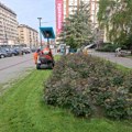 Mediana nastavlja uređenje grada: Košenje, čišćenje i održavanje zelenih površina širom Niša