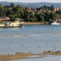 Ministarka: Situacija je izazovna zbog niskog vodostaja Dunava, štedite struju