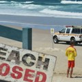 Australija: Surfer nestao posle napada ajkule dugačke četiri metra