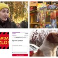 „Petarda je zlo!“: Animal Rescue Srbija pokrenuo peticiju za zabranu bučne pirotehnike