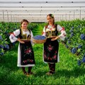 Dani borovnice za vikend u Prnjavoru