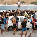 Prijavljen sumnjiv napad na mladunče delfina u delu Seute gde borave migranti