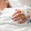 Devet novih slučajeva virusa Zapadnog Nila u Holandiji, troje preminulo od početka godine