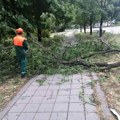 EKIPE GRADSKOG ZELENILA otklanjaju posledice nevremena: Štrand zatvoren dok ne bude bezbedan