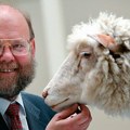 Nauka, genetika i kloniranje: Umro naučnik koji je stvorio čuvenu ovcu Doli