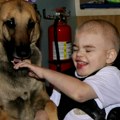 Udomili psa da pomogne bolesnom detetu: Odjednom je počela nekontrolisano da cvili, a zatim se desilo nešto neverovatno!