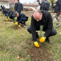 Mladenovac bogatiji za 4000 novih sadnica: Rasadi hrastova krasiće ove delove grada, mladim ljudima na terenu se pridružio i…