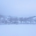 Minus 15, zavejani gradovi i zaleđene reke Ristić upozorava: Zima kakvu Srbija ne pamti – sledi minus 15 i arktički talas!