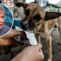 Kad psi neće granule, odmah uzmemo jogurt: Veterinar Terzin upozorava na hranu koju ljubimci ne vare kao mi