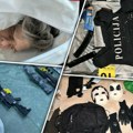 Garaže, stanovi i štekovi puni snajpera i silikonskih maski: Ko drži arsenale oružja u Beogradu i šta stoji iza zaplena
