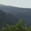 Milenković: Aktivno devet požara na otvorenom, situacija u Deliblatskoj peščari povoljnija