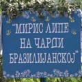 Kuće ovde koštaju 60.000 evra! A na pitanje šta je kod njih najlepše, predsednik MZ kao iz topa: Žene! Gde se u Sremu nalazi…