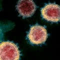 BiH ukinula stanje prirodne ili druge nesreće zbog koronavirusa