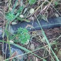 Uništena minobacačka mina u kamenolomu Straževica: Eksplozije kod Kragujevca, građani nemaju razloga za strah