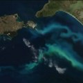 NASA snimila neobično svetleće biće u okeanu koje se vidi se čak iz svemira: Evo šta krije u dubokim vodama