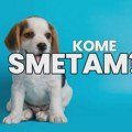 „Зрењанински пријатељи животиња“ огорчени: Пет фриендли политика тржног центра под знаком питања Ко су прави пријатељи…