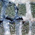 (Foto) Zaplenjeno 2,6 kilograma marihuane u Beogradu: Uhapšen muškarac (40)