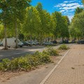 PISMA ČITALACA: „Svake godine stradaju platani na Prevlaci“ – zbog luna parka sve manje krošnji, a najveći parking nedeljama…